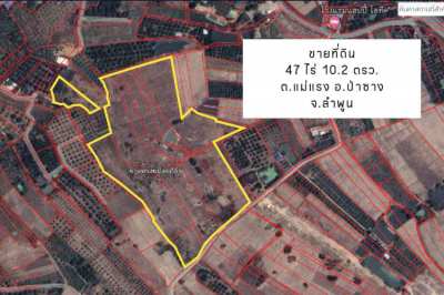 Land for Sale at Lamphun area