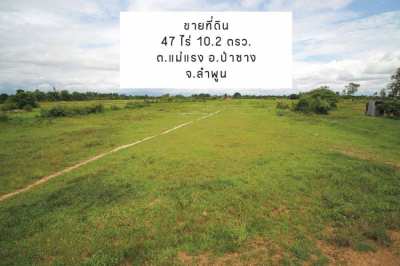 Land for Sale at Lamphun area