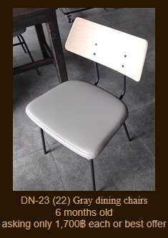 DN-23/24 Gray dining chairs