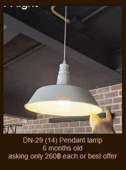 DN-29 Pendant lamp