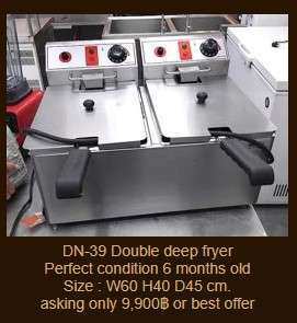 DN-39 Double deep fryer