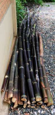 Several black bamboo poles are available for 100 B.