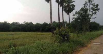 5 Rai Land in Lop Buri for Sale