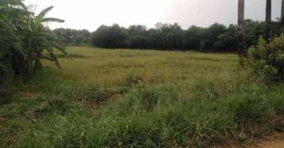 5 Rai Land in Lop Buri for Sale