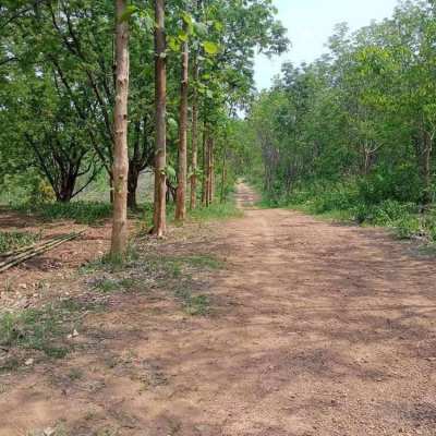 28 Rai Land in Nakhon Sawan for Sale