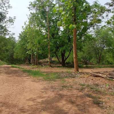 28 Rai Land in Nakhon Sawan for Sale