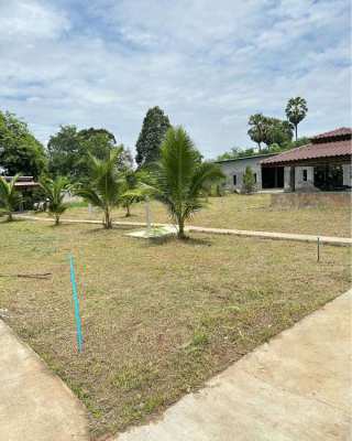 6 Rai Land with Houses in Nakhon Sawan for Sale