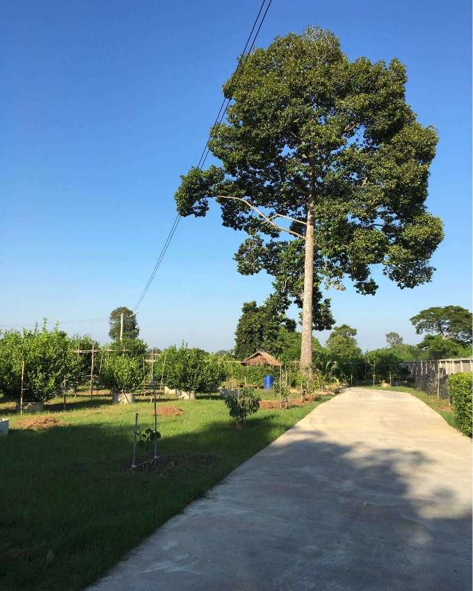 6 Rai Land with Houses in Nakhon Sawan for Sale