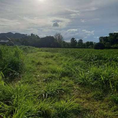 27 Rai Land in Pak Chong with Mountain View for Sale