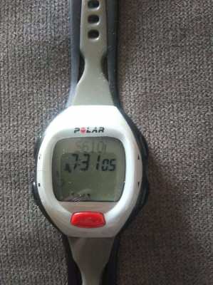 Polar S610i Watch