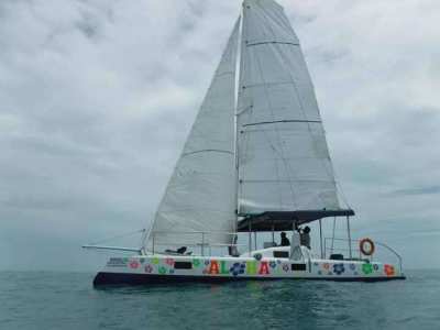 Sailing catamaran business