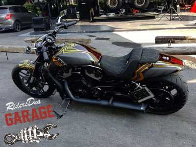 RidersDNA Custom Painted Gold Carbon Harley Davidson V-rod Muscle 2009