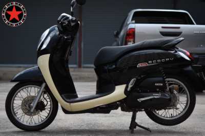 Honda Scoopy Urban