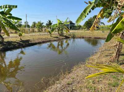 Direct Owner Affordable Land in Suphan Buri for Sale