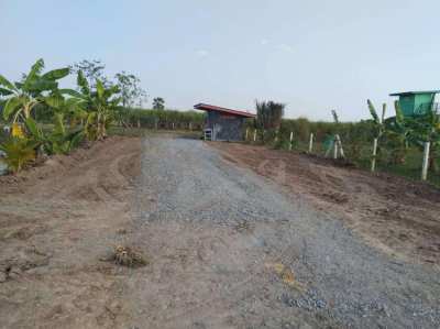 Direct Owner Affordable Land in Suphan Buri for Sale