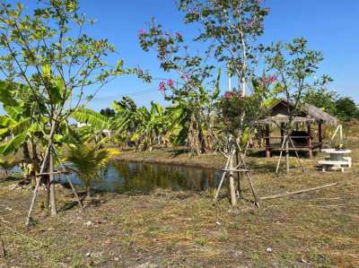 Direct Owner Affordable Land in Suphan Buri for Sale