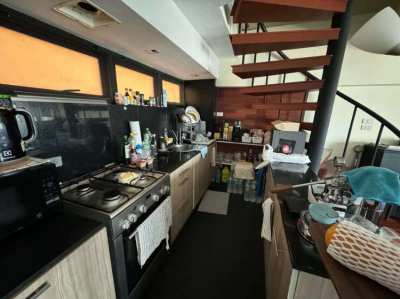 DUPLEX THONGLOR