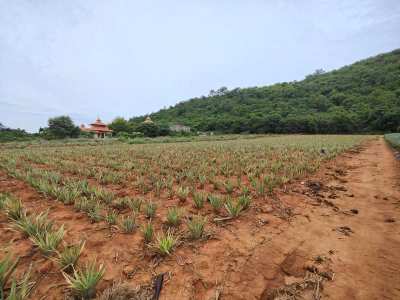 Beautiful Mountain Back 5-0-0 Rai Near Pranburi Khao Kalok Beach