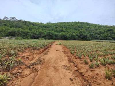 Beautiful Mountain Back 5-0-0 Rai Near Pranburi Khao Kalok Beach