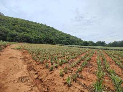 Beautiful Mountain Back 5-0-0 Rai Near Pranburi Khao Kalok Beach