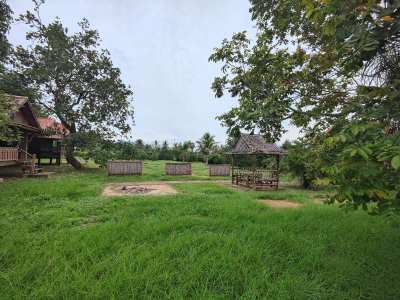 Beautiful Mountain View 3-2-0 Rai Near Khao Kalok Beach - Fruit Trees