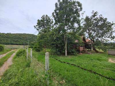 Beautiful Mountain View 3-2-0 Rai Near Khao Kalok Beach - Fruit Trees