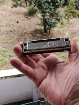 Lee Oskar Harmonicas-17 qty