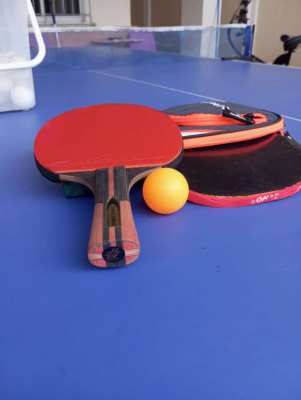 Ping pong set. Auto feed robot included 