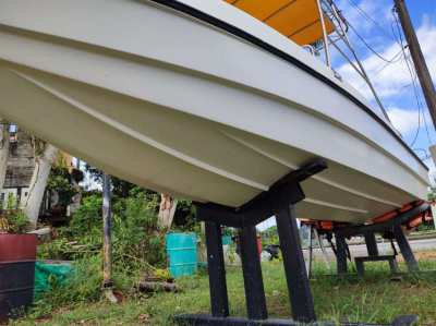 NEW 16ft (5m) Boat , Fiberglass , Bimini , L transom , for SALE