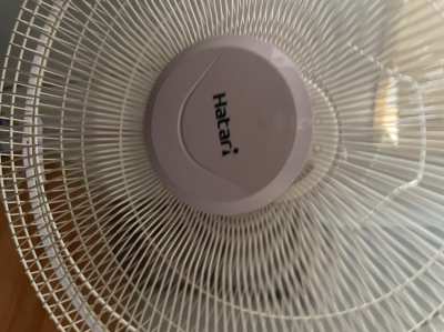 Best condition Hatari fan for sale. 