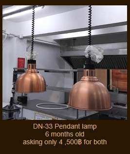 DN-33 Pendant lamp