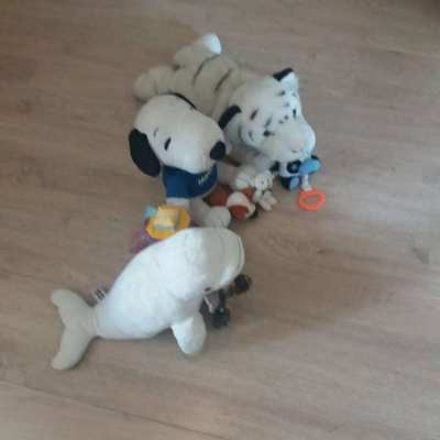 9 COLLECTABLE DOLLS-PLUSH,CUTE, BELUGA WHALE,SNOOPY,WHITED TIGER,ETC.