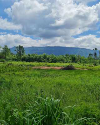 Direct Owner 21+ Rai Land in Prachin Buri with Mountain View for Sale