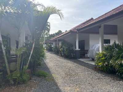 Krabi Ao-nang property with 7 house for rent 