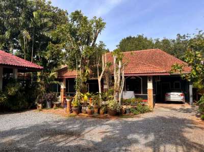 Krabi Ao-nang property with 7 house for rent 