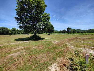 Hot! Square Shaped 1-0-0 Rai Home Plot Near Black Mountain Golf