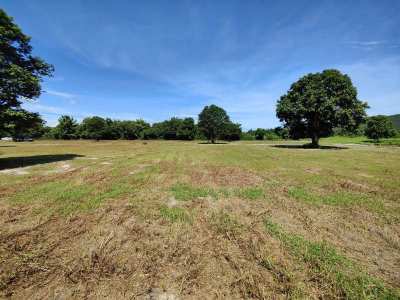 Hot! Square Shaped 1-0-0 Rai Home Plot Near Black Mountain Golf