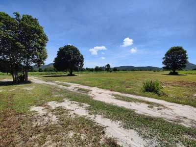 Limited Time Offer!  Reduced Priced 1-1-01 Rai Corner Plot Near Golf