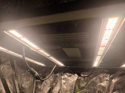 Mars Hydro Grow Light   FC E4800