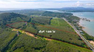 Phuket Sea View Land For Sale 5.5 Mil.Baht per Rai.