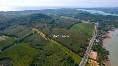 Phuket Sea View Land For Sale 5.5 Mil.Baht per Rai.