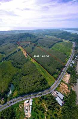 Phuket Sea View Land For Sale 5.5 Mil.Baht per Rai.