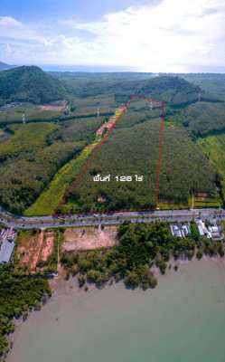 Phuket Sea View Land For Sale 5.5 Mil.Baht per Rai.