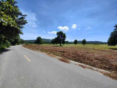 Hot! 1-0-0 Rai Square Shaped Home Plot Near Black Mountain Golf 