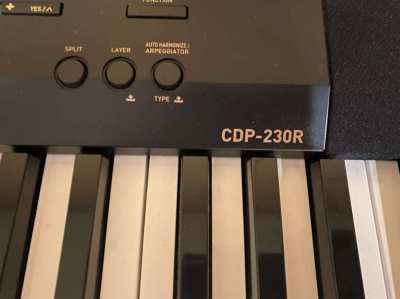 CASIO CDP-230R