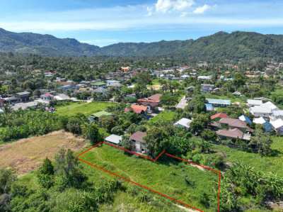 Land for Sale Lamai 964sqm