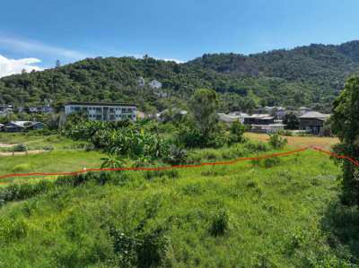 Land for Sale Lamai 964sqm