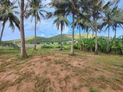 Hot! Nice Mountain View 6-0-0 Rai Coconut Plantation -Banana - Mango 