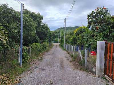 Mountain View Hillside 1-0-13.7 Rai - Only 5 Minutes Khao Kalok Beach!