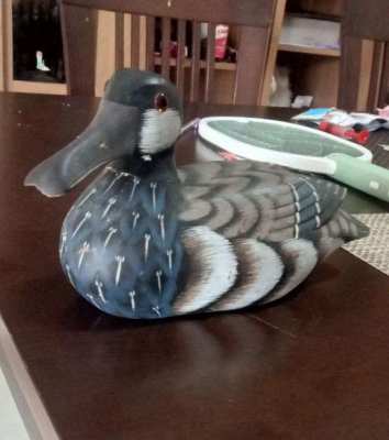 Wooden duck